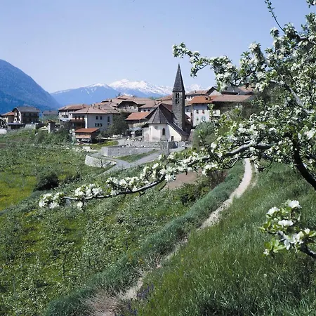 Villa Verde