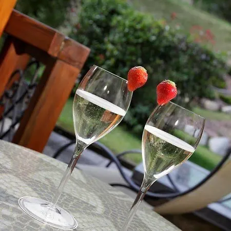 Apartament Villa Verde *